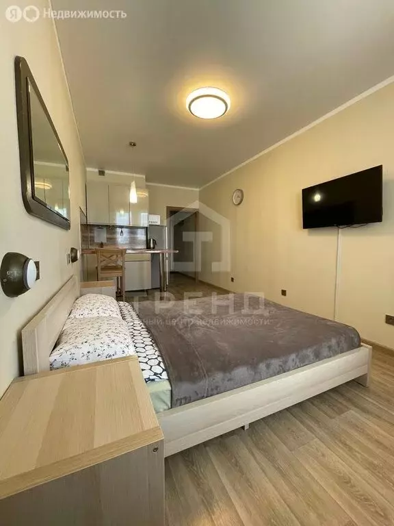 Квартира-студия: Санкт-Петербург, Новолитовская улица, 4 (22.4 м) - Фото 1