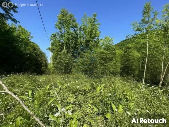 Участок в посёлок городского типа Джубга, улица Веденьёва (7 м) - Фото 1