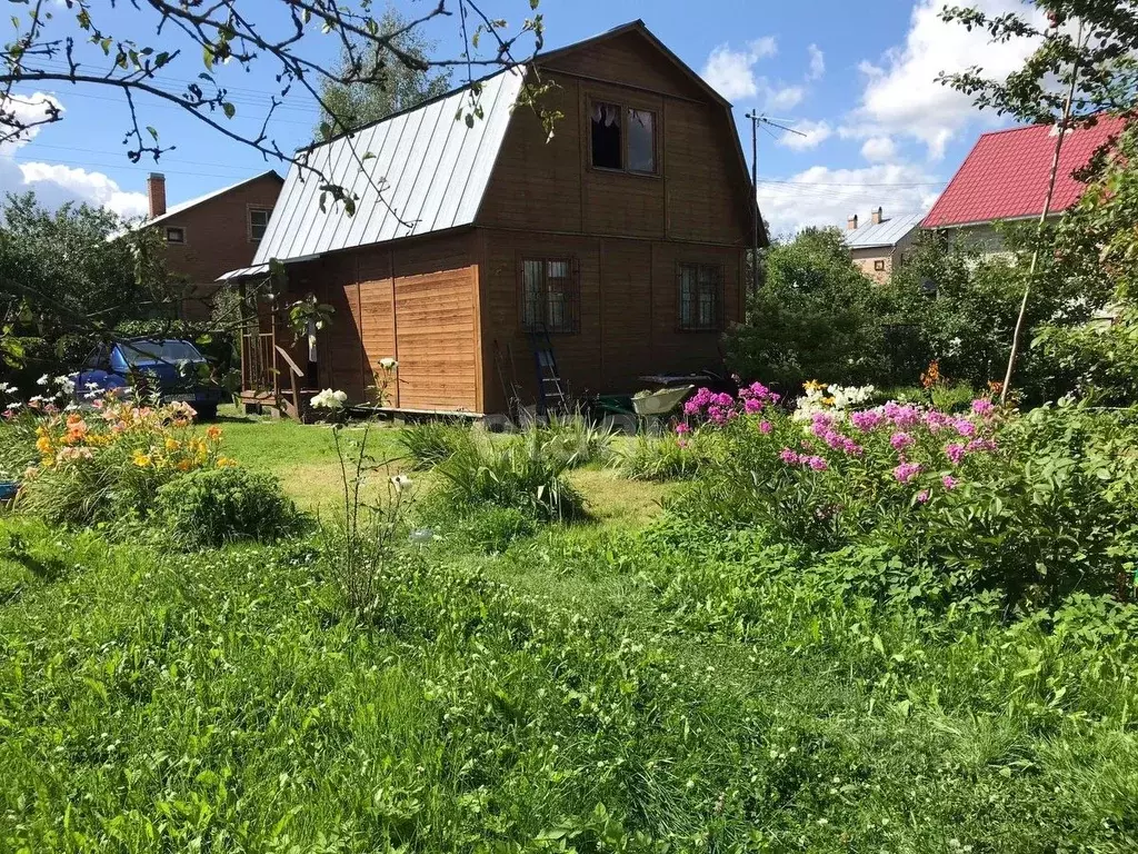 Ядроминское сельское поселение истринский район. Рябово (тосненский район). Купить дачу снт темп шереметьево. Снт темп. Дача ивушка нижняя ельцовка.