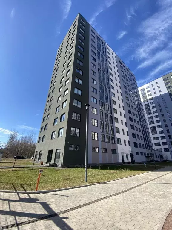 2-к кв. Санкт-Петербург пос. Парголово, дор. Михайловская, 16к3 (52.4 ... - Фото 0