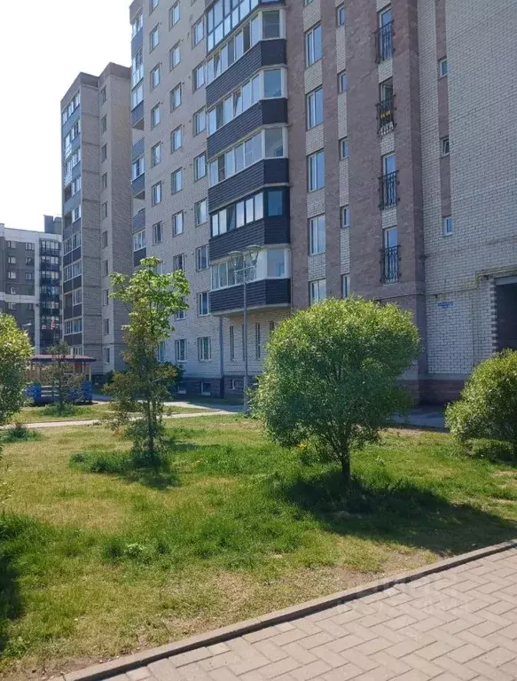 1-к кв. Псковская область, Псков Техническая ул., 14 (40.1 м) - Фото 0
