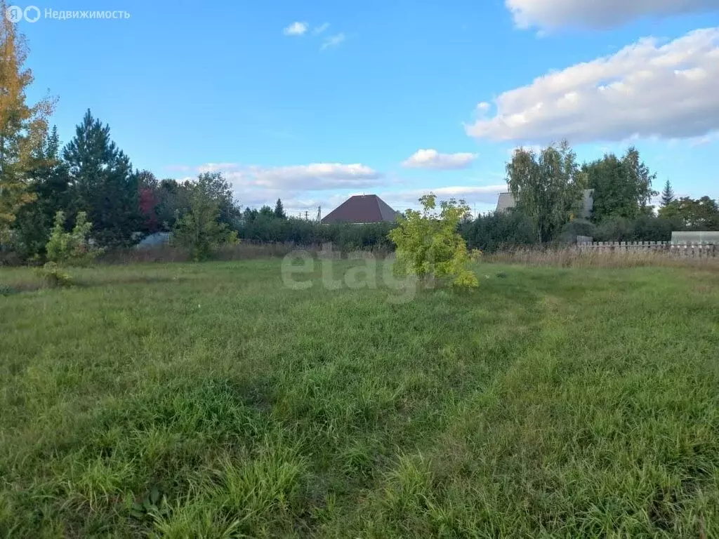 Участок в Ордынский район, село Красный Яр (14.27 м) - Фото 0