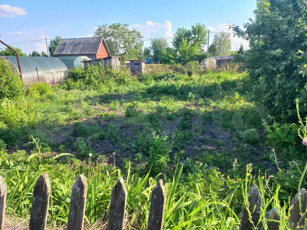 Участок 3 сот. (СНТ, ДНП) - Фото 0