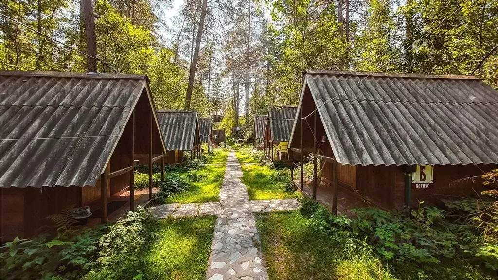 Дом в Алтай, Майминский район Р-256 Чуйский тракт, 477-й км (5 м) - Фото 1