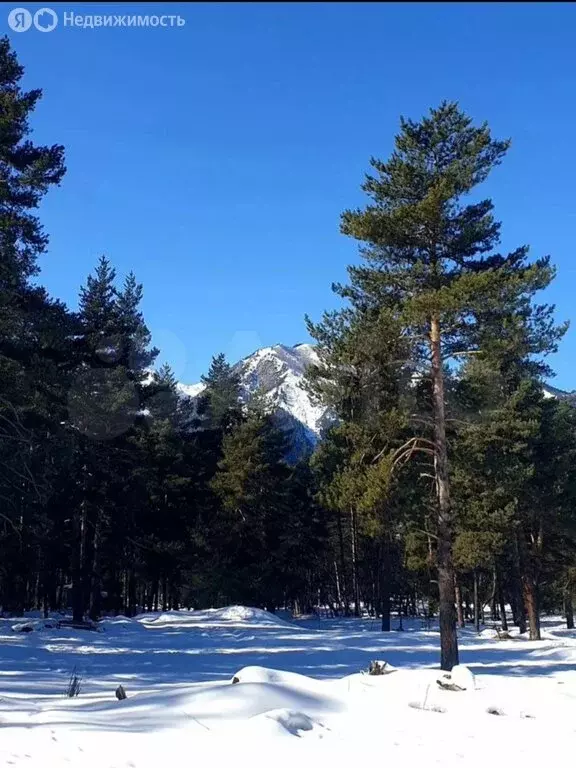 Участок в Зеленчукский район, село Архыз (100 м) - Фото 1