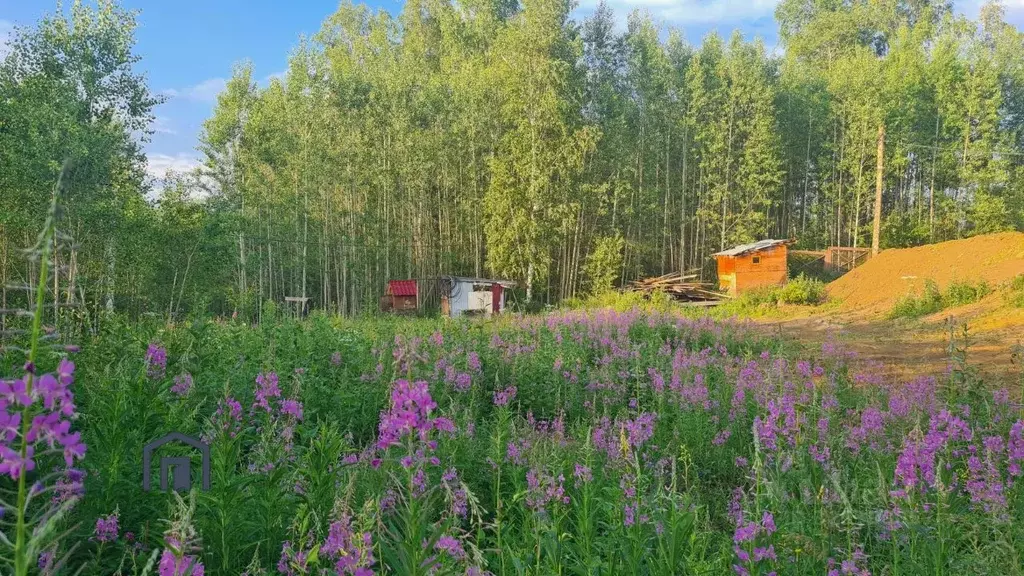 Участок в Иркутская область, Иркутский муниципальный округ, д. ... - Фото 2