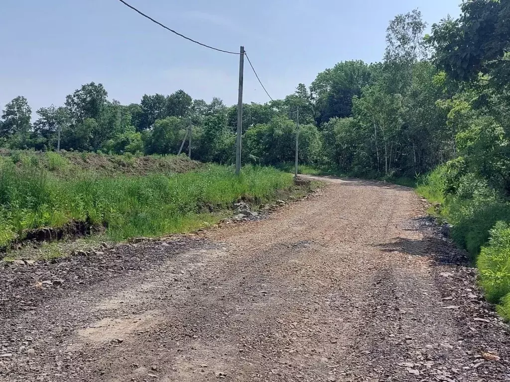 Участок в Хабаровский край, Хабаровский район, Тополевское с/пос, с. ... - Фото 2