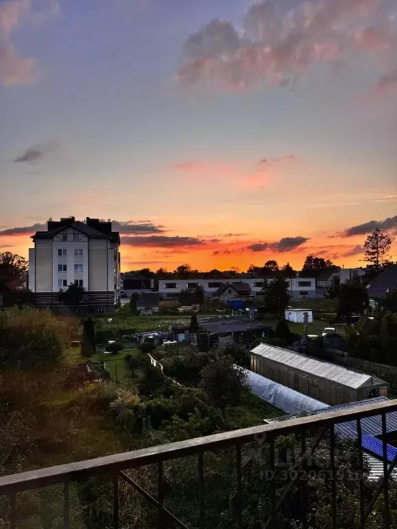 2-к кв. Калининградская область, Гурьевский муниципальный округ, пос. ... - Фото 2