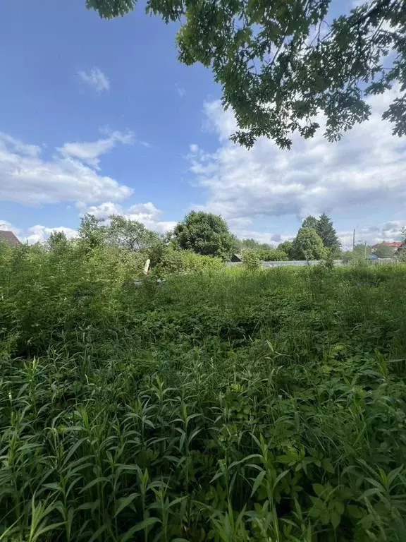 Участок в Ленинградская область, Волховский район, Усадищенское с/пос, ... - Фото 1