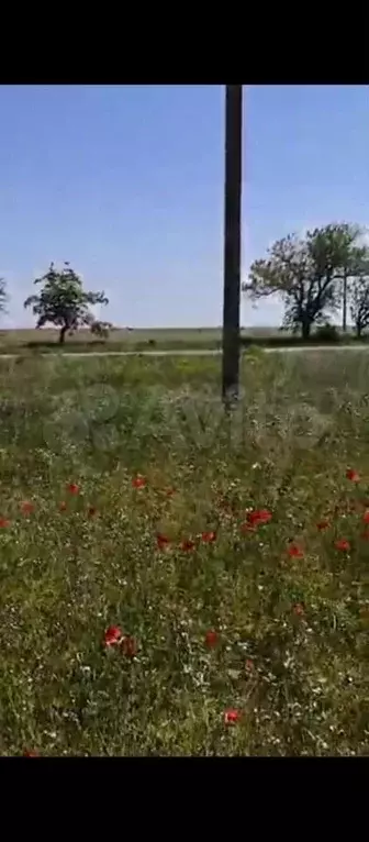 Участок 6 сот. (СНТ, ДНП) - Фото 0