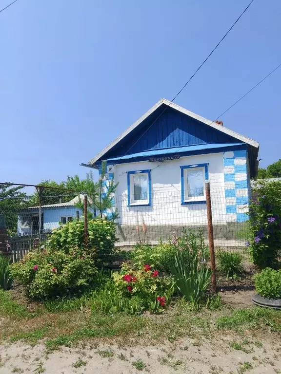 Дом в Саратовская область, с. Багаевка ул. Мичурина (43 м) - Фото 0