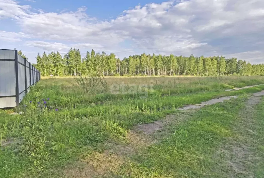 Участок в Омская область, Омский район, с. Усть-Заостровка ул. 4-я ... - Фото 1