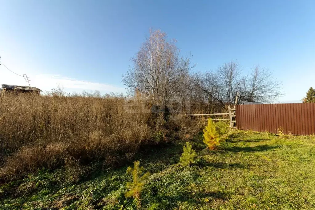 Участок в Тюменская область, Тюменский муниципальный округ, с. Кулига ... - Фото 1