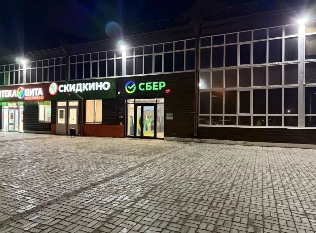 Помещение свободного назначения в Саратовская область, Маркс просп. ... - Фото 2