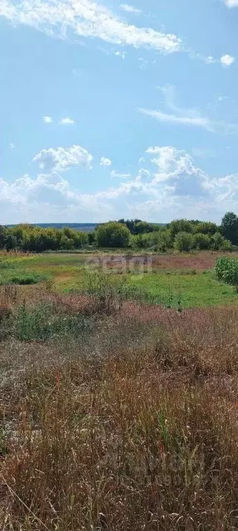 Участок в Белгородская область, Новооскольский муниципальный округ, с. ... - Фото 0