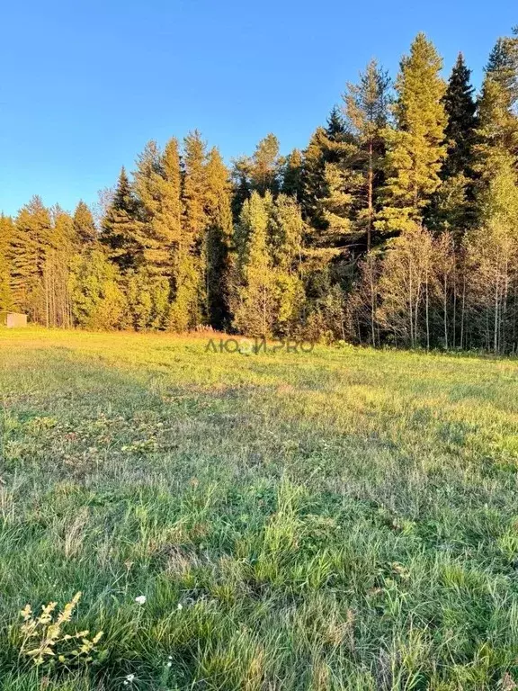 Участок в Кировская область, Кирово-Чепецкий район, с. Кстинино  (20.0 ... - Фото 2