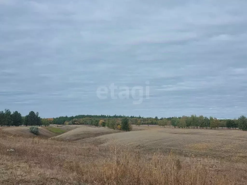 Участок в Саратовская область, Красноармейск Северная ул. (8.0 сот.) - Фото 2