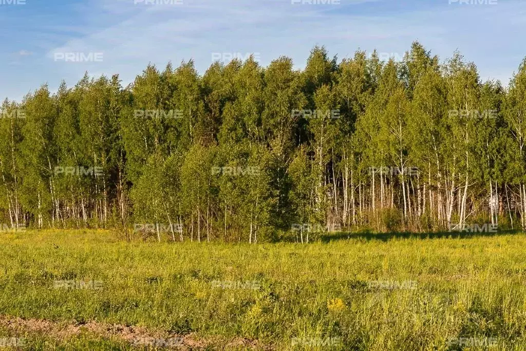 Участок в Московская область, Одинцовский городской округ, Мамоново ... - Фото 1