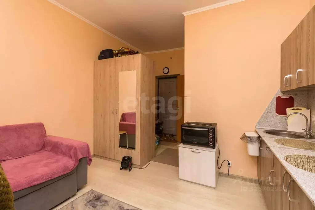 Студия Тюменская область, Тюмень ул. Бабарынка, 65 (19.4 м) - Фото 1