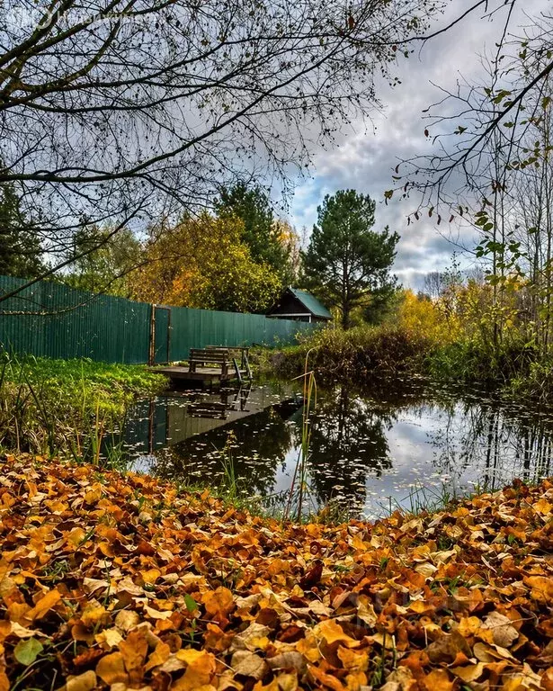 Участок в Московская область, городской округ Солнечногорск, СНТ ... - Фото 1