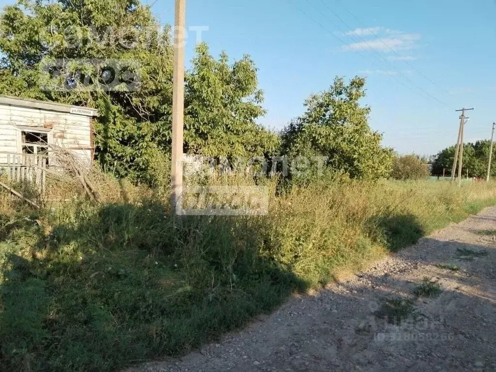 Участок в Краснодарский край, Щербиновский район, Новощербиновская ... - Фото 1