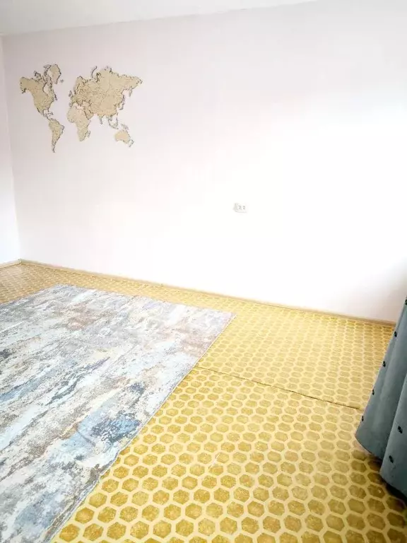 Студия Новосибирская область, Новосибирский район, Краснообск рп 244 ... - Фото 1