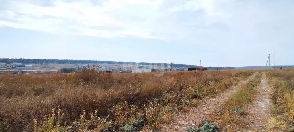 Участок в Воронежская область, Семилукский район, с. Девица ул. ... - Фото 1