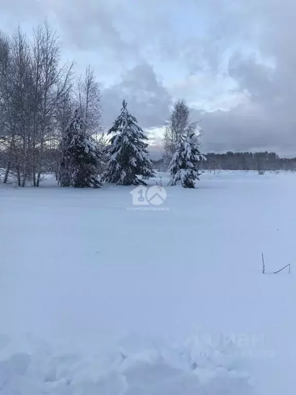 Участок в Новосибирская область, Искитимский район, с. Морозово ... - Фото 1