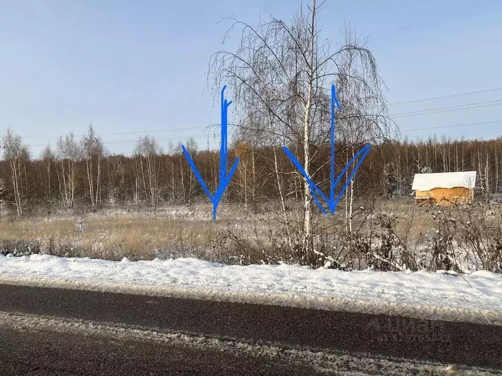 Участок в Московская область, Коломна городской округ, д. Малое ... - Фото 1