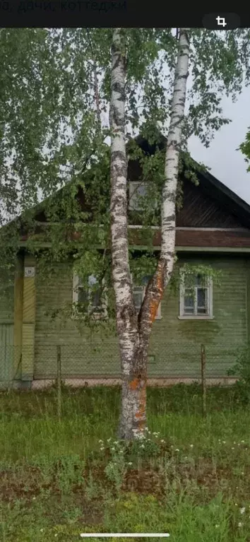 Дом в Новгородская область, Пестово Боровичская ул. (56 м) - Фото 0