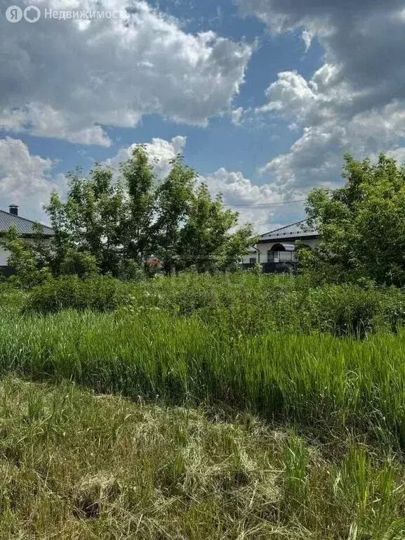 Участок в Воронеж, Октябрьская улица, 53 (25 м) - Фото 0