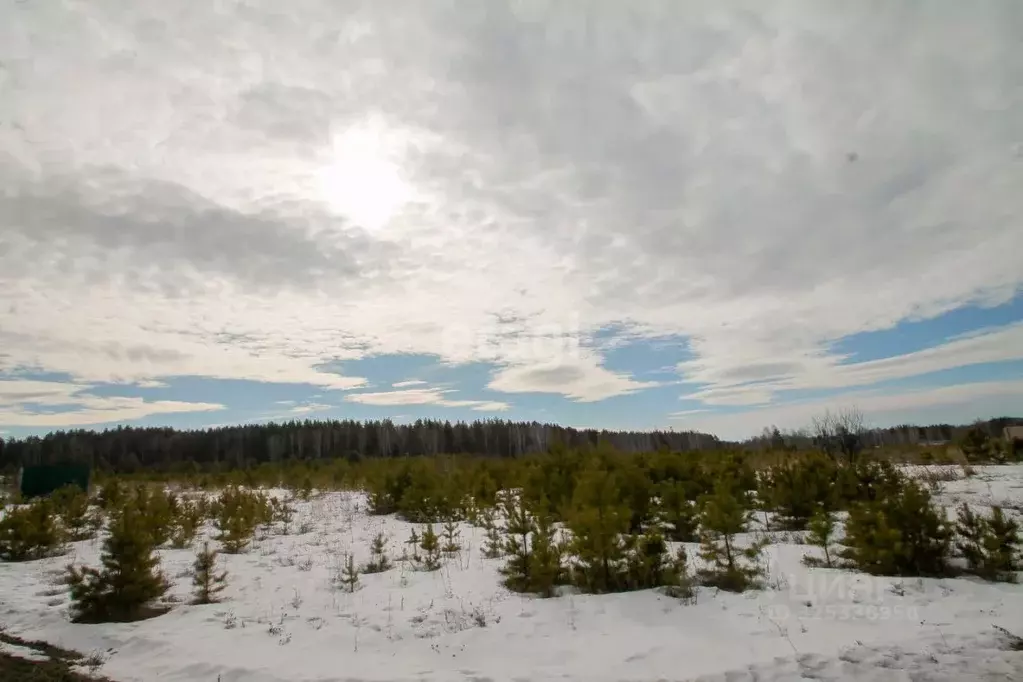 Участок в Свердловская область, Сысертский муниципальный округ, Клевер ... - Фото 1