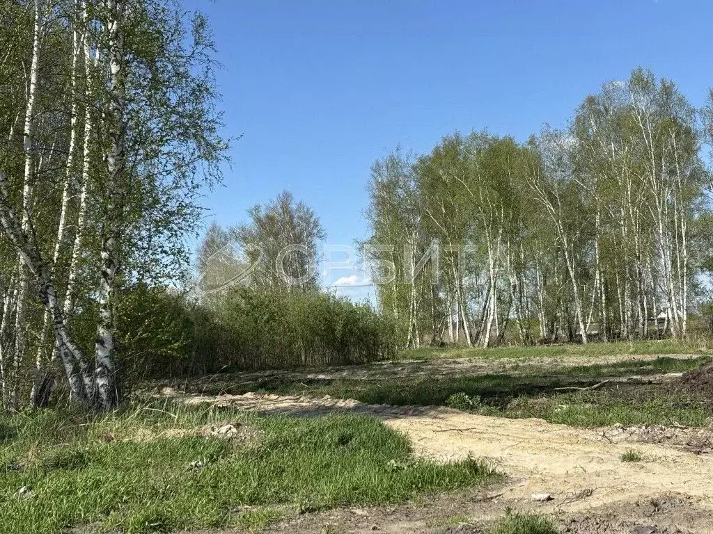 Участок в Тюменская область, Тюменский район, д. Падерина Луговая ул. ... - Фото 1