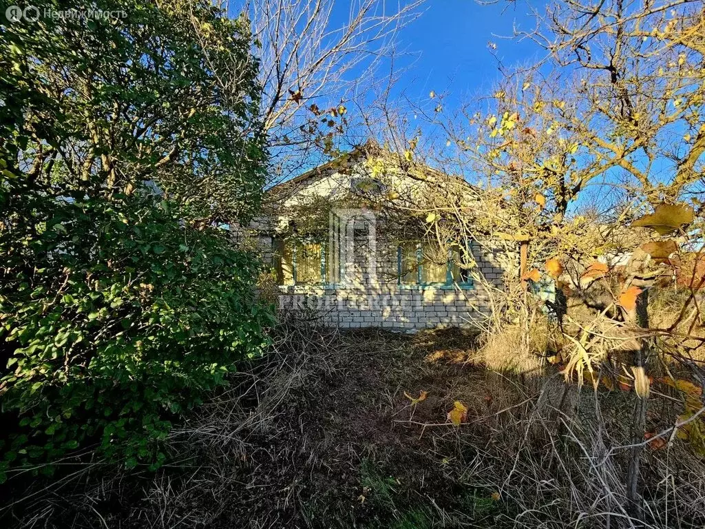 Участок в Махачкала, территория СНТ Встреча, 2-я Встречная улица, 93 ... - Фото 1