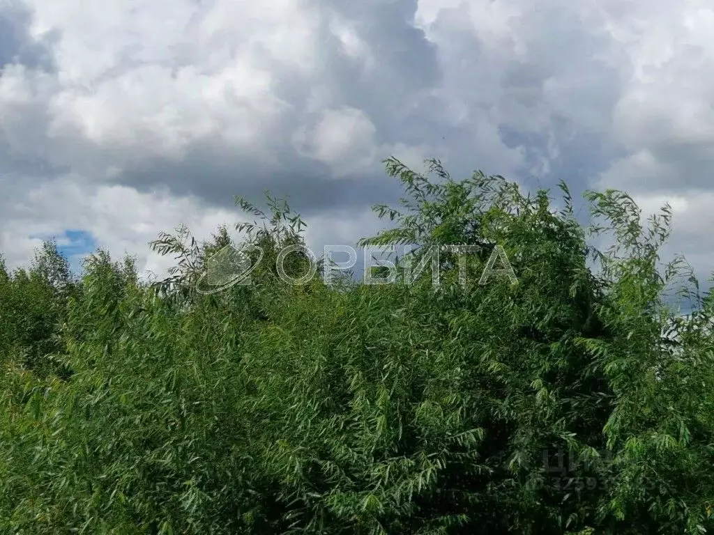 Участок в Тюменская область, Тюмень Ягодное СНТ, ул. Ягодная, 263 ... - Фото 2