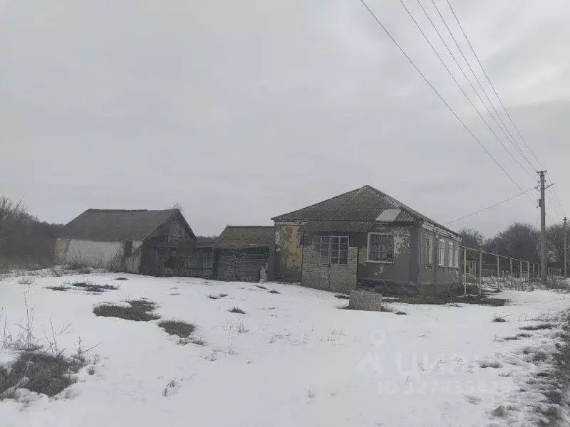 Дом в Воронежская область, Хохольский рп ул. Колхозная (68 м) - Фото 2