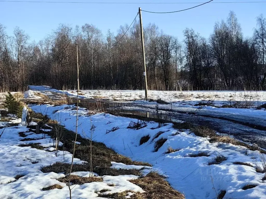 Участок в Карелия, Кондопожский район, Кончезерское с/пос, с. ... - Фото 2