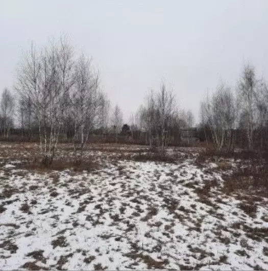 Участок в Московская область, Ступино городской округ, д. Тростники ... - Фото 0