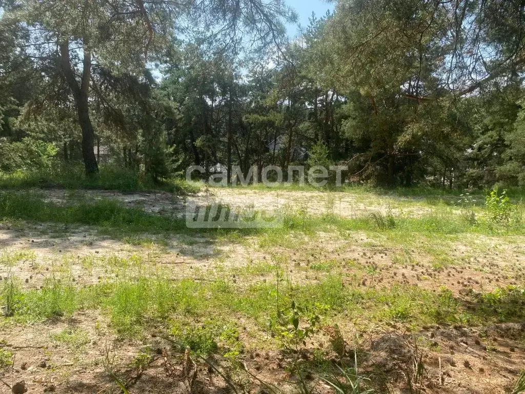 Участок в Курская область, Курский район, Моковский сельсовет, д. ... - Фото 2