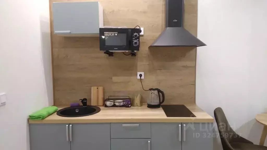 Студия Башкортостан, Уфа Революционная ул., 39/3 (24.0 м) - Фото 2