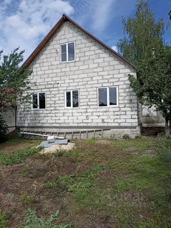 Дом в Липецкая область, Добровский муниципальный округ, с. Борисовка ... - Фото 1