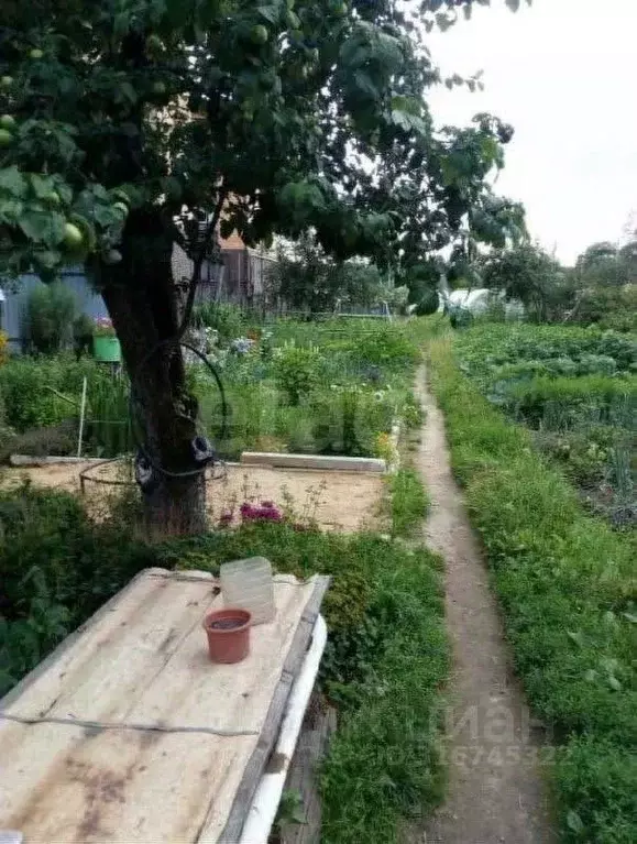 Дом в Ярославская область, Ярославль наб. 1-я Закоторосльная, 46 (80 ... - Фото 1