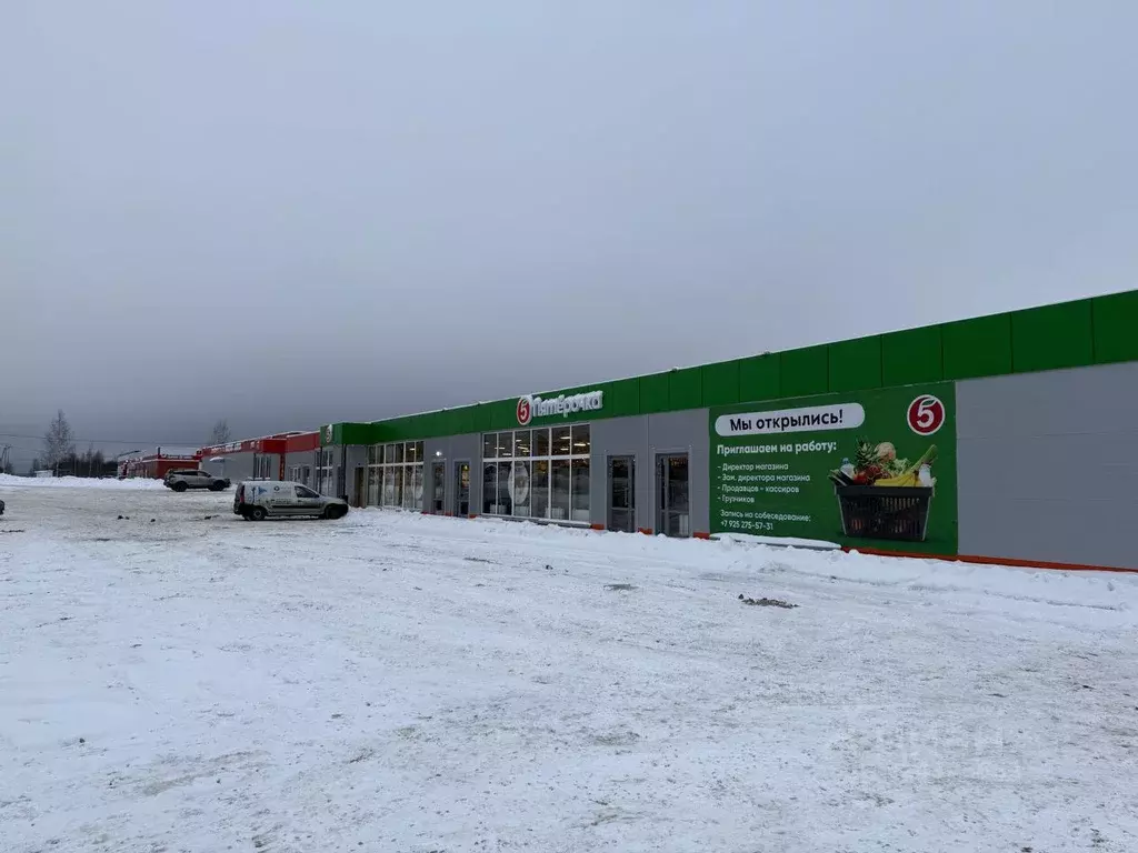 Торговая площадь в Владимирская область, Александровский муниципальный ... - Фото 1