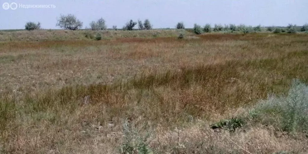 Участок в Батайск, садовое товарищество Донская Чаша, Жасминовая улица ... - Фото 1