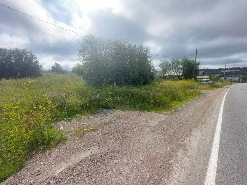 Участок в Свердловская область, Нижнесергинское городское поселение, ... - Фото 0