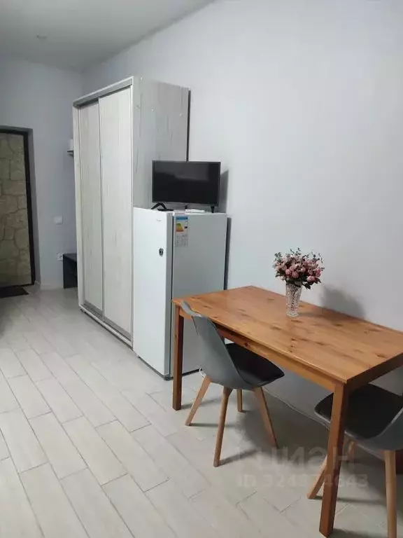 Студия Краснодарский край, Сочи городской округ, с. Веселое ул. ... - Фото 2