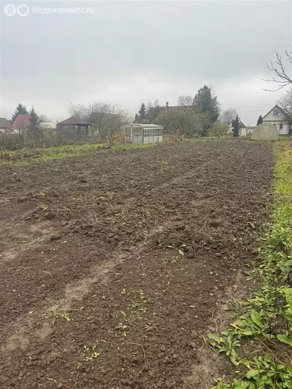 Участок в Ленинградская область, Гатчинский муниципальный округ, ... - Фото 1