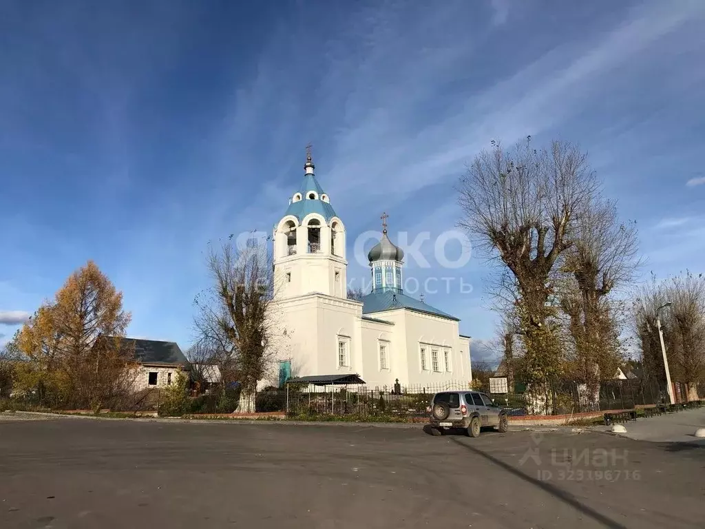 Участок в Пермский край, Березники муниципальный округ, с. Романово  ... - Фото 2