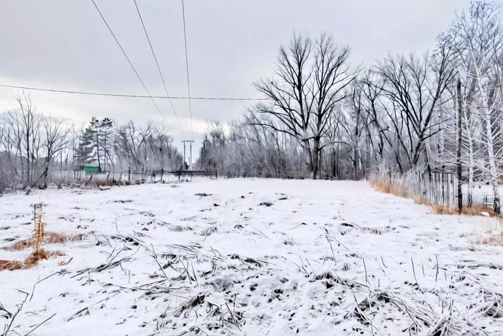 Участок в Оренбургская область, Оренбург Родник СНТ, ул. Цветочная ... - Фото 1