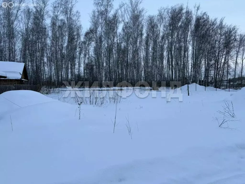 Участок в Новосибирская область, Коченёвский муниципальный район, СНТ ... - Фото 1